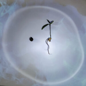 Picture of Tema "L'attesa"